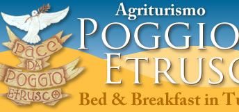 image: Poggio Etrusco Holiday Rentals in Tuscany